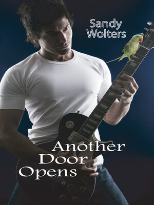 cover image of Another Door Opens